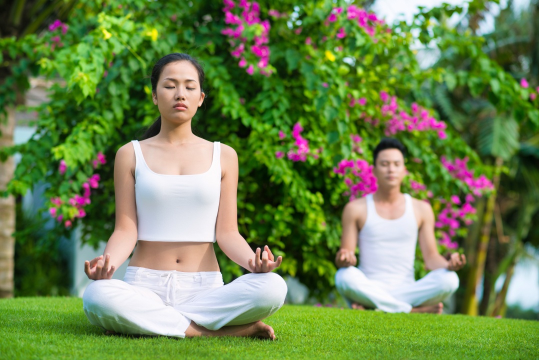 10358 — Yoga & Meditation